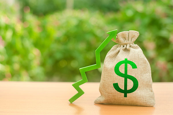 YREL 402 | Debt Elimination