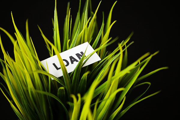 YREL 402 | Debt Elimination